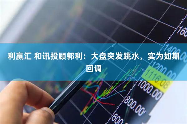 利赢汇 和讯投顾郭利:大盘突发跳水,实为如期回调