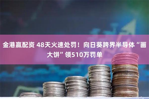 金港赢配资 48天火速处罚!向日葵跨界半导体“画大饼”领510万罚单