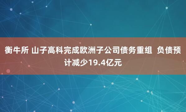 衡牛所 山子高科完成欧洲子公司债务重组  负债预计减少19.4亿元