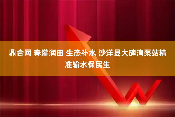 鼎合网 春灌润田 生态补水 沙洋县大碑湾泵站精准输水保民生