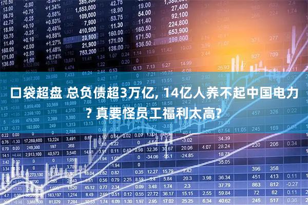口袋超盘 总负债超3万亿, 14亿人养不起中国电力? 真要怪员工福利太高?