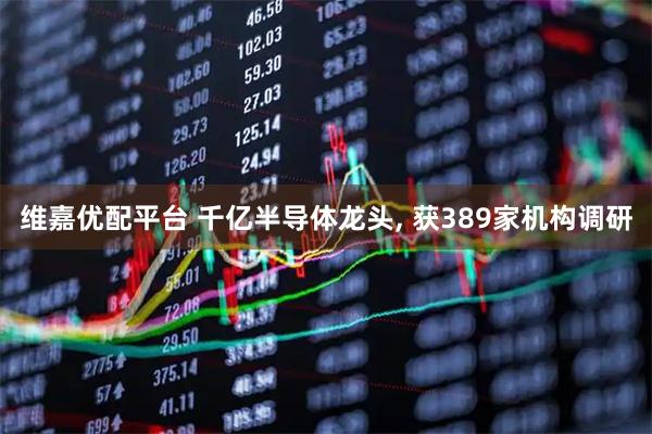 维嘉优配平台 千亿半导体龙头, 获389家机构调研